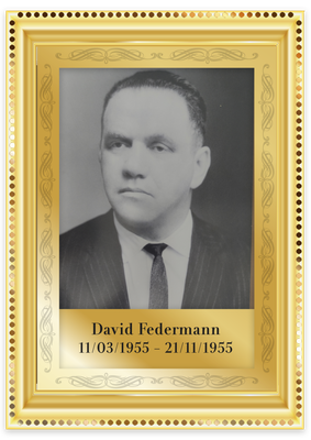 40 david federmann.png