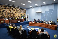 Câmara aprova campanha de apoio a pessoas em Luto Gestacional, Perinatal e Neonatal