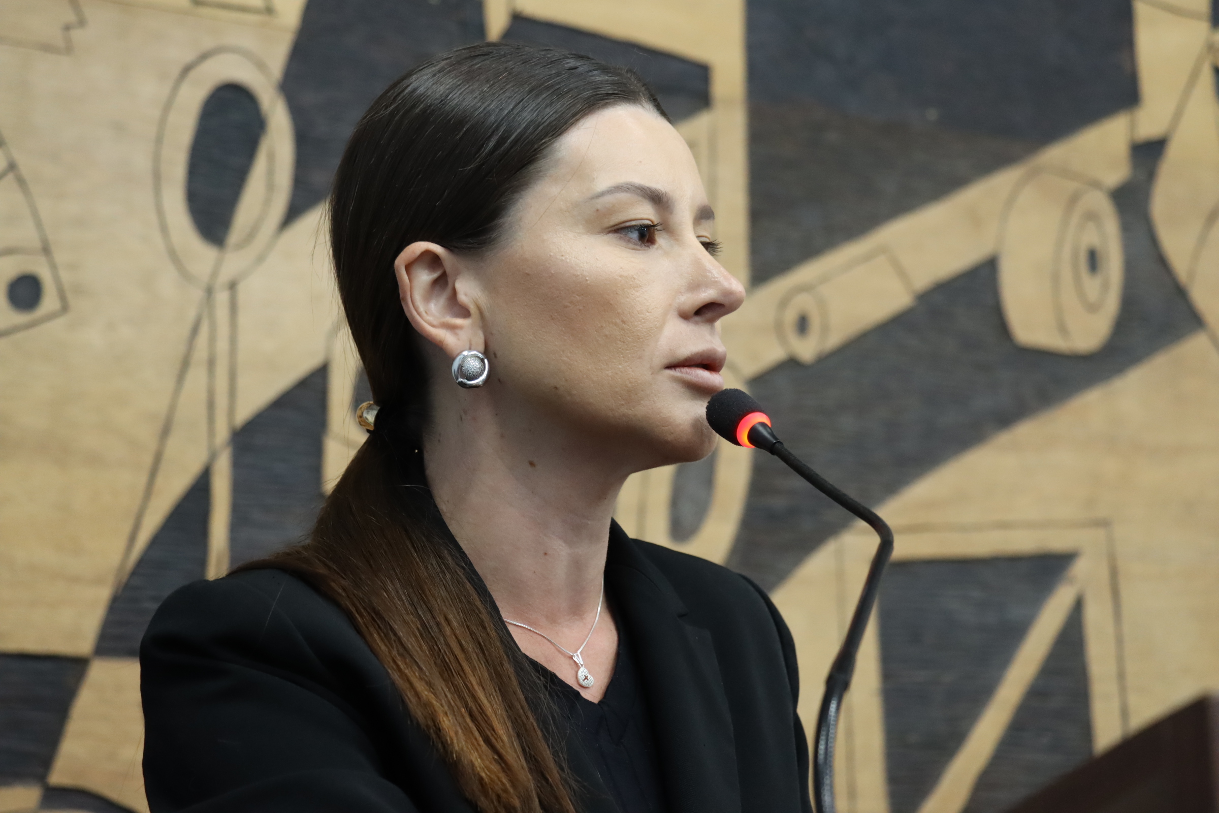 Câmara aprova PL que autoriza adiantamento de despesas aos membros de Conselhos Municipais  