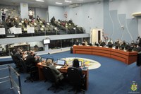 Maus-tratos a animais serão punidos com mais rigor