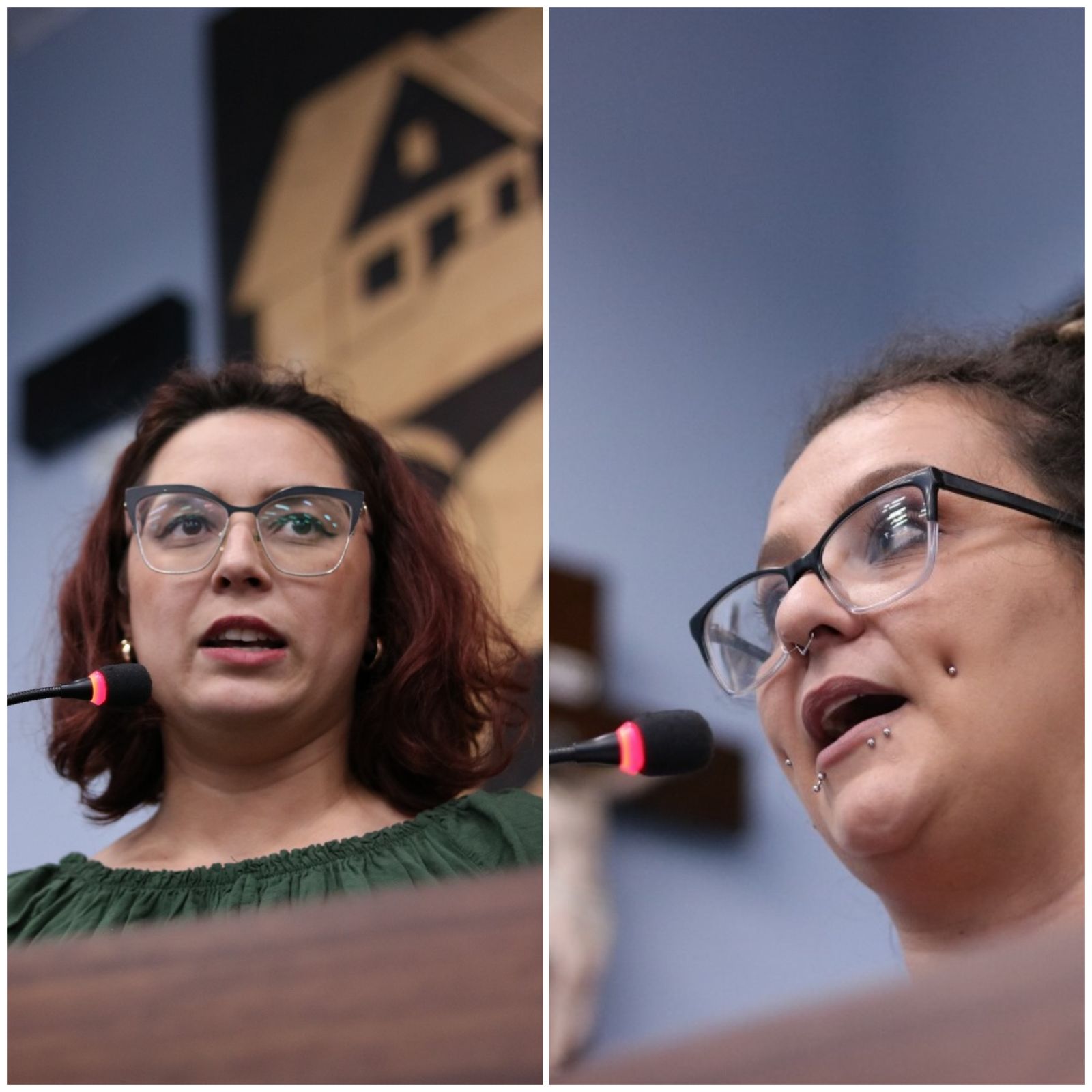 Representantes do SUAS e do Conselho LGBTQIAPN+ utilizam a tribuna livre na Câmara de Ponta Grossa