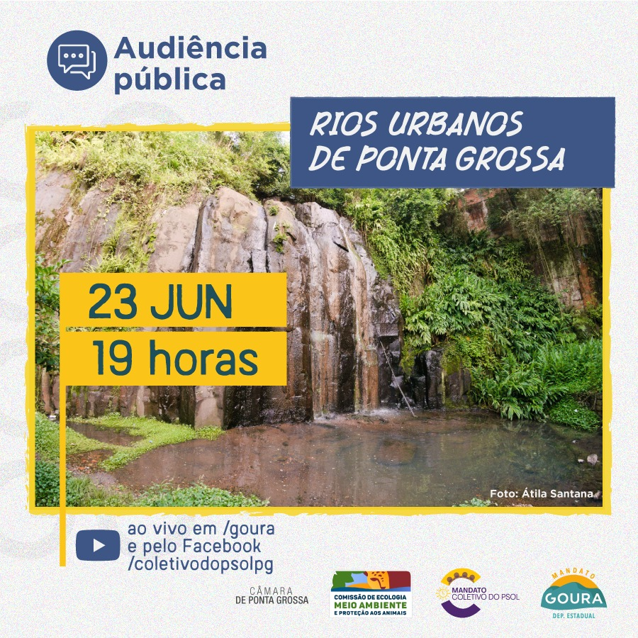 Situação de rios de PG será debatida em audiência pública